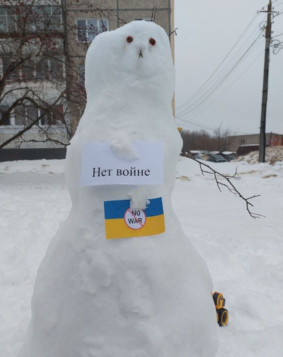 Сніжний протест у Володимирі