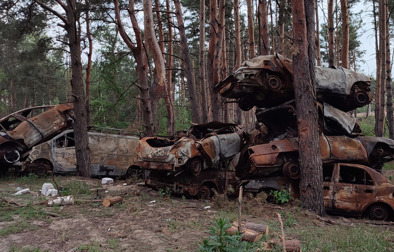 Кладовище розстріляних авто цивільних у лісі на Київщині
