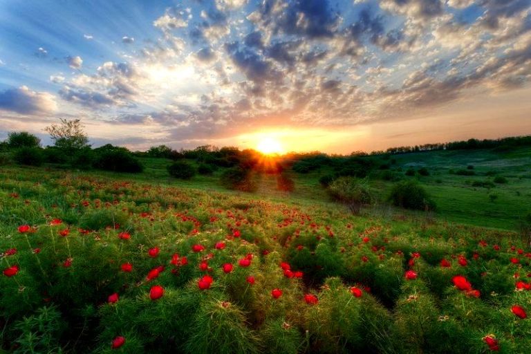 Гектова балка