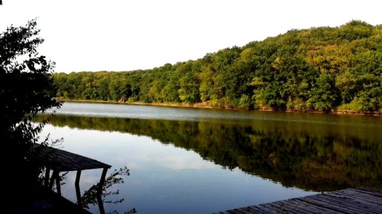 Никанорівський ліс