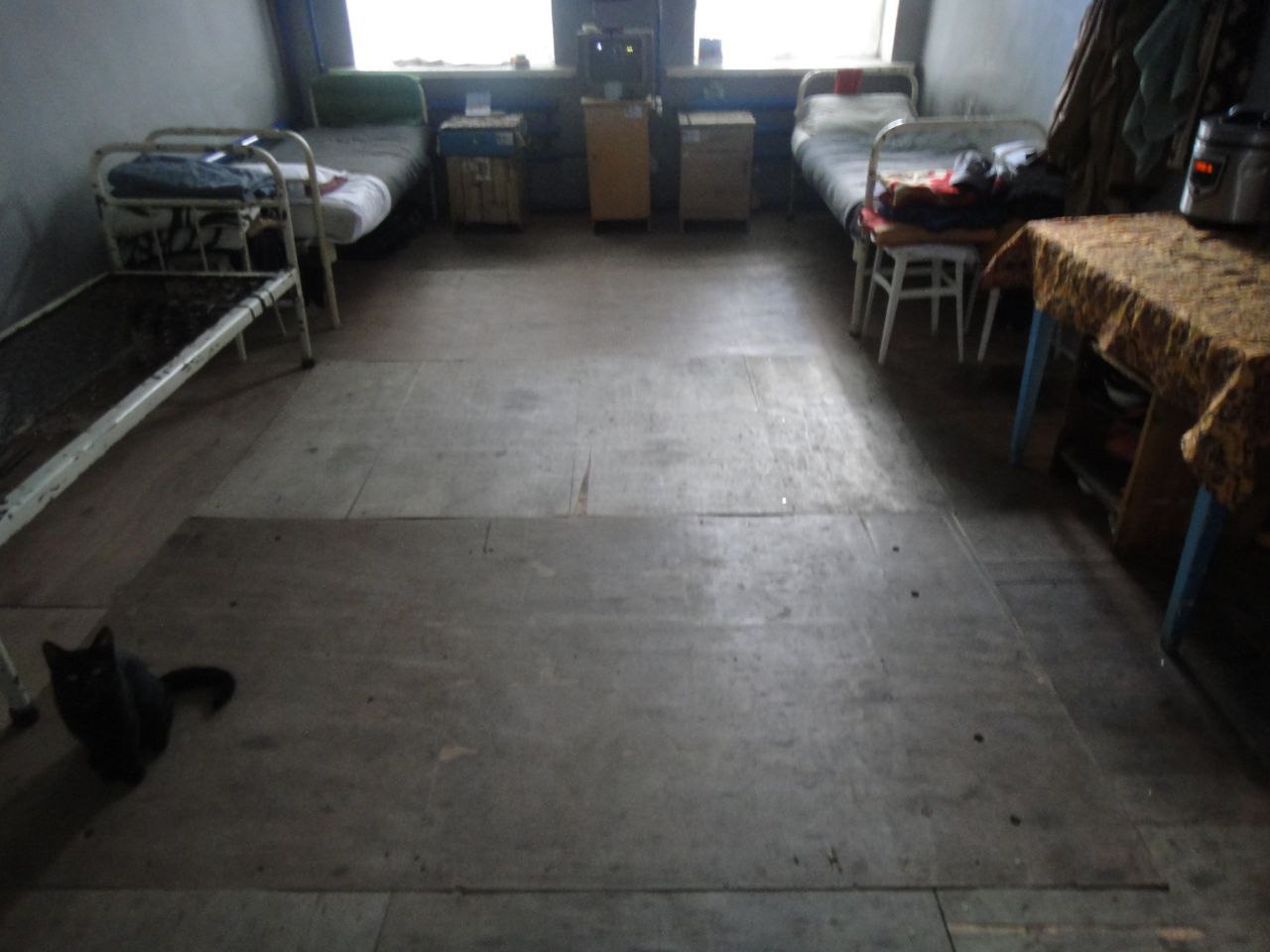 [Снігурівська виправна колонія № 5]