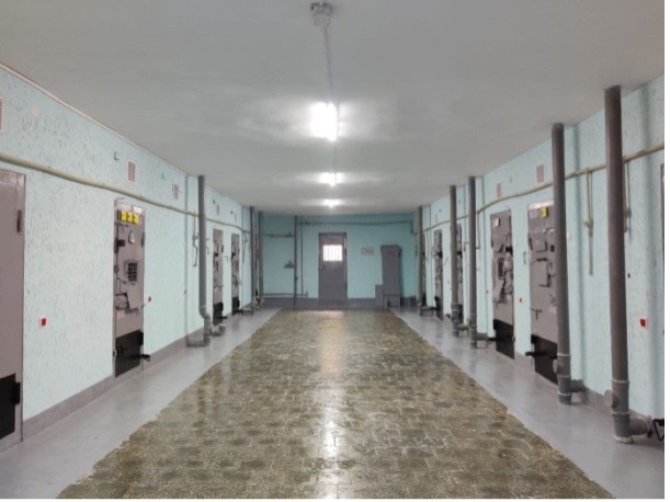 [Миколаївський слідчий ізолятор]