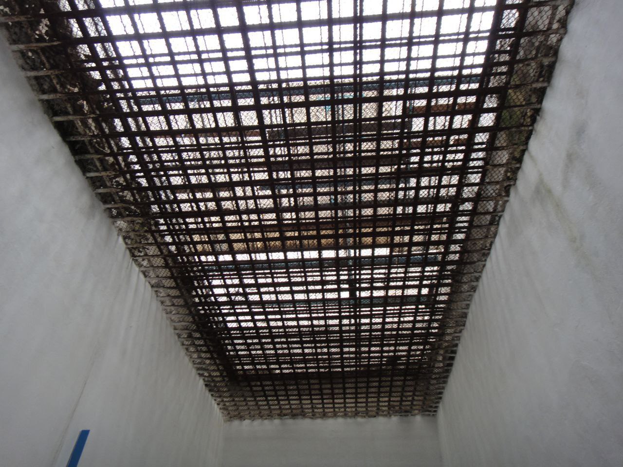 [Білоцерківська виправна колонія (№35)]