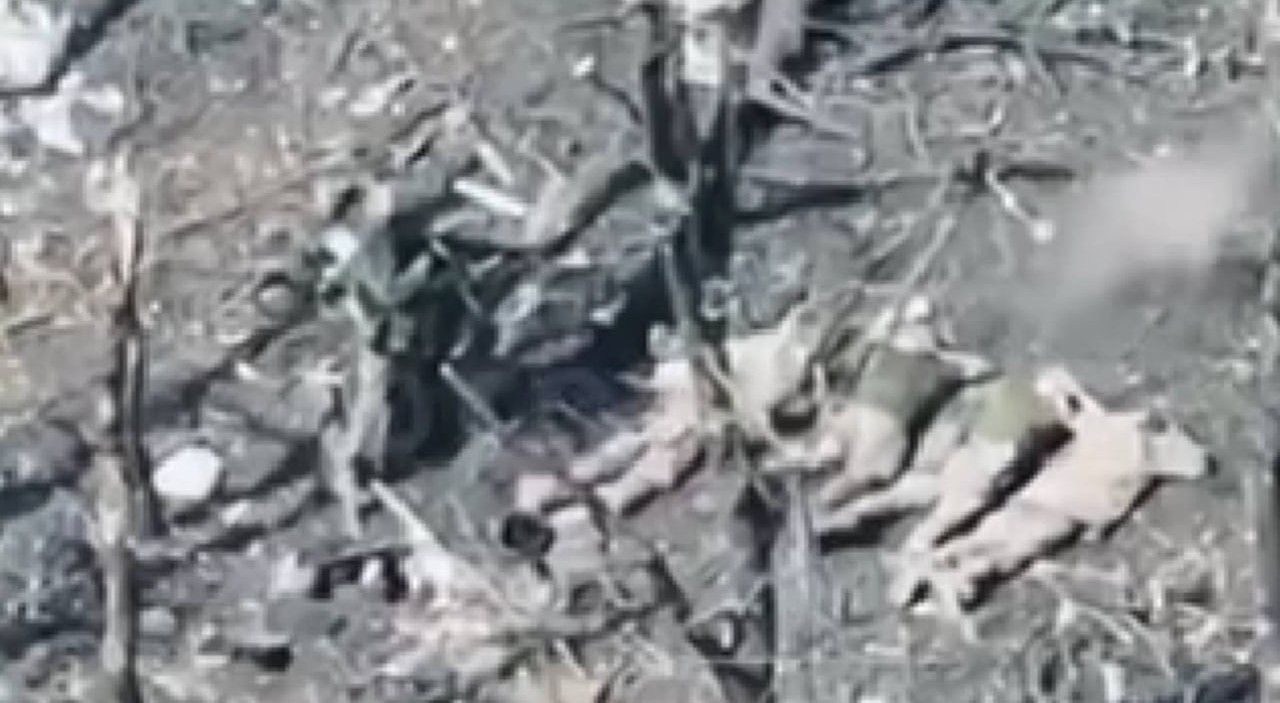 Фото, оприлюднене Донецькою обласною прокуратурою.