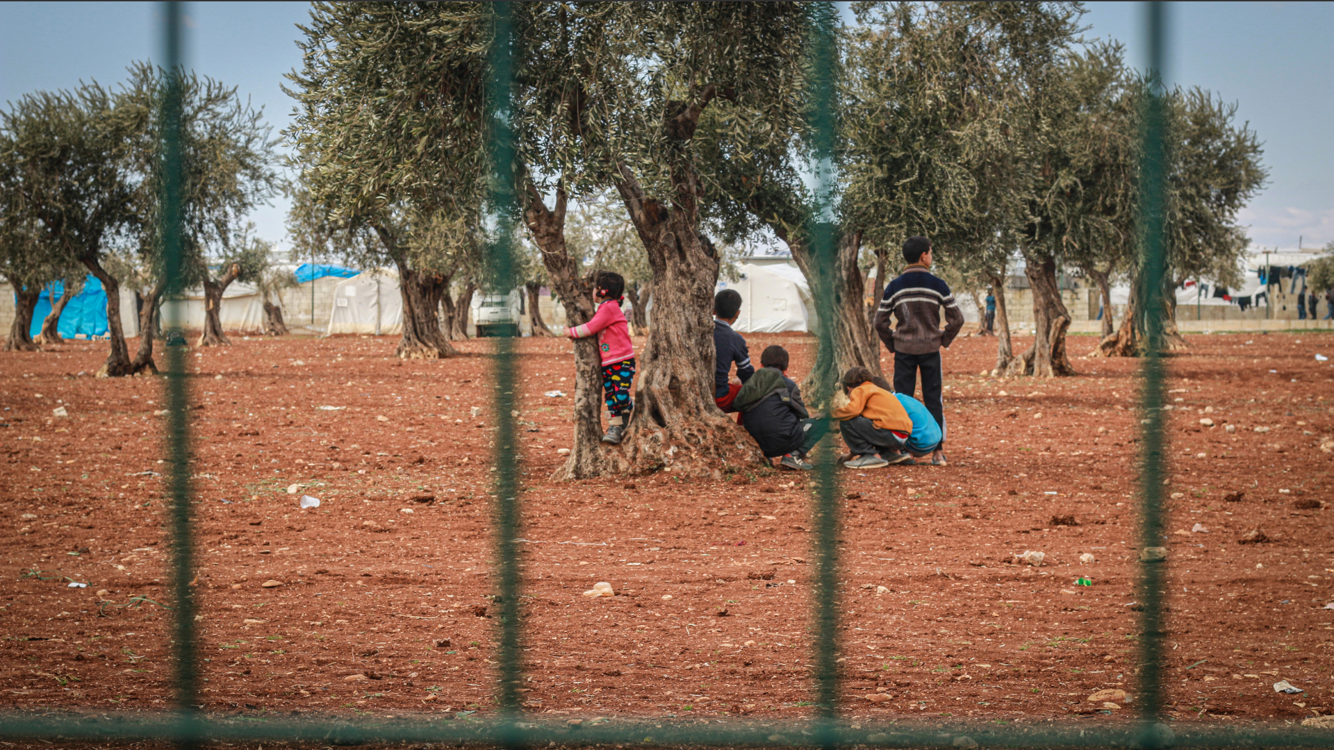 Ілюстративне зображення @ Depositphotos [діти, Сирія]