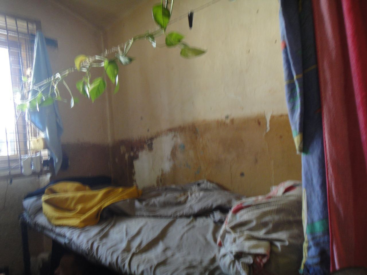 [“Закарпатська установа виконання покарань №9”]