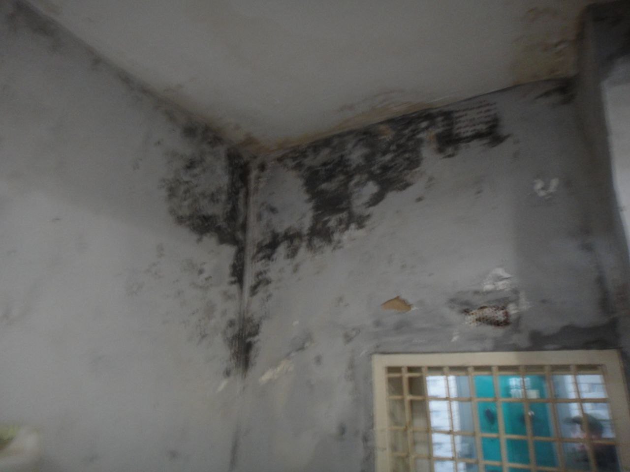 [Бердичівська виправна колонія (№70)]