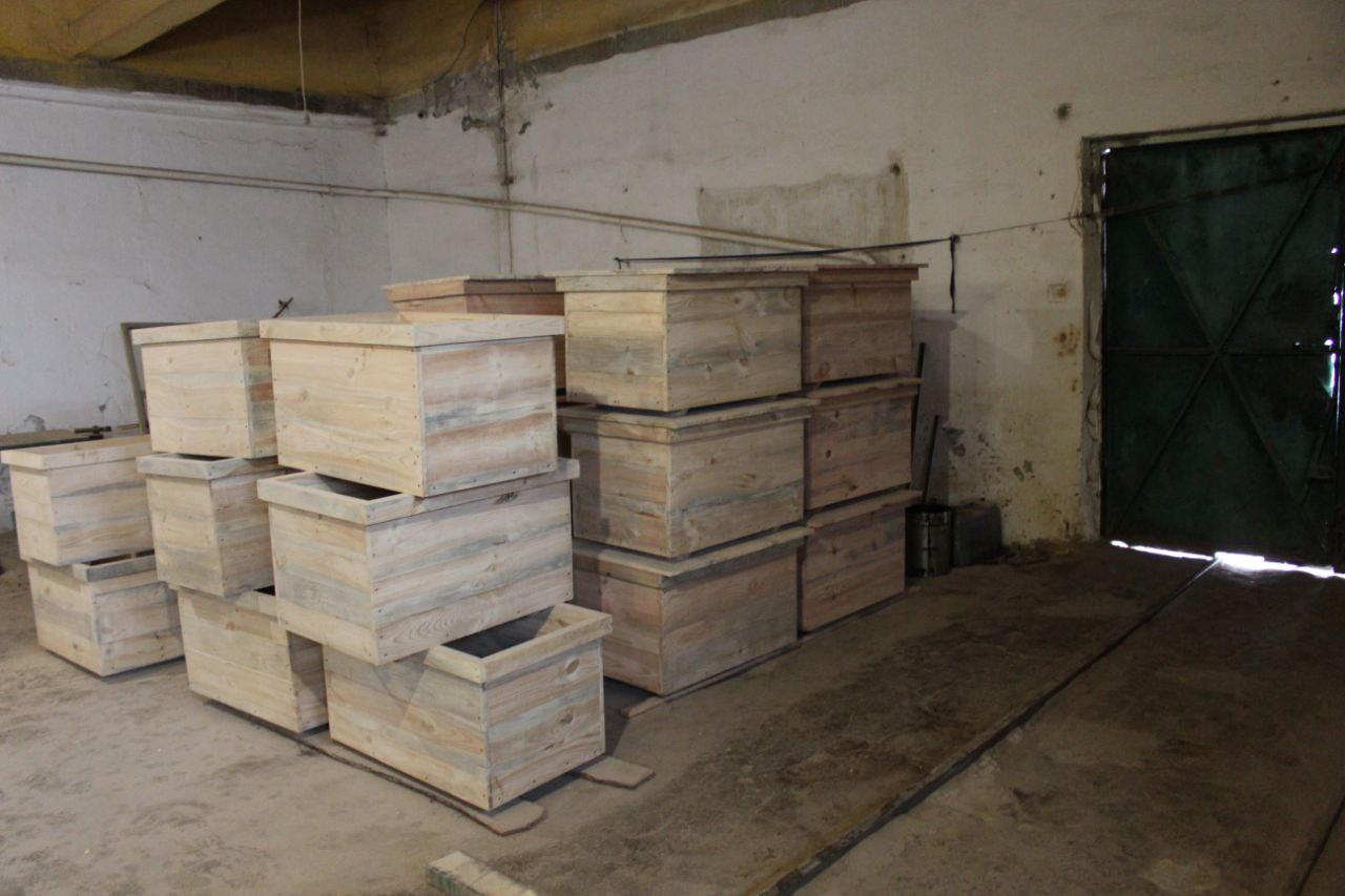 [Бердичівська виправна колонія (№70)]