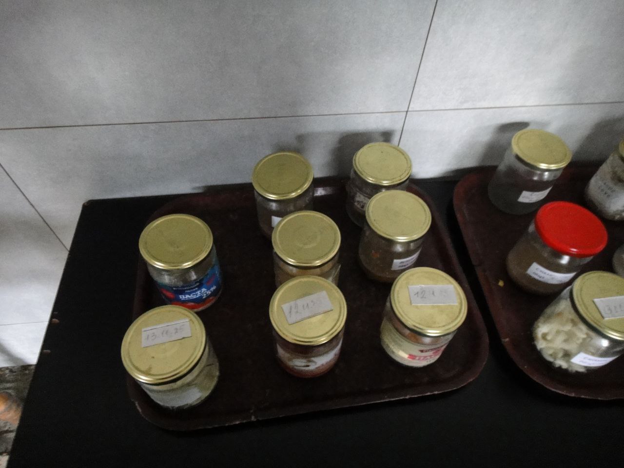 [Райківська виправна колонія (№73)]