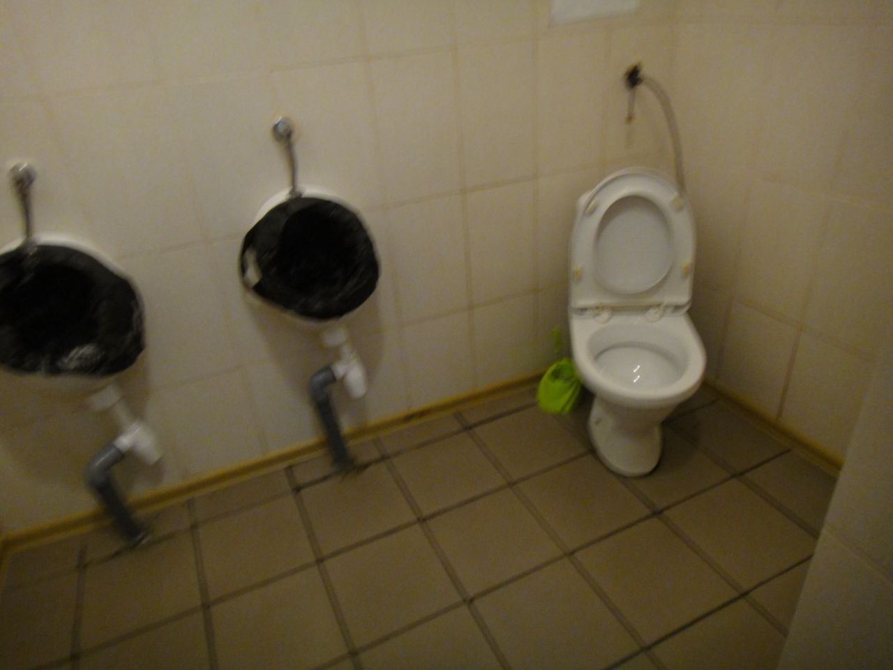 [Житомирська виправна колонія (№4)]