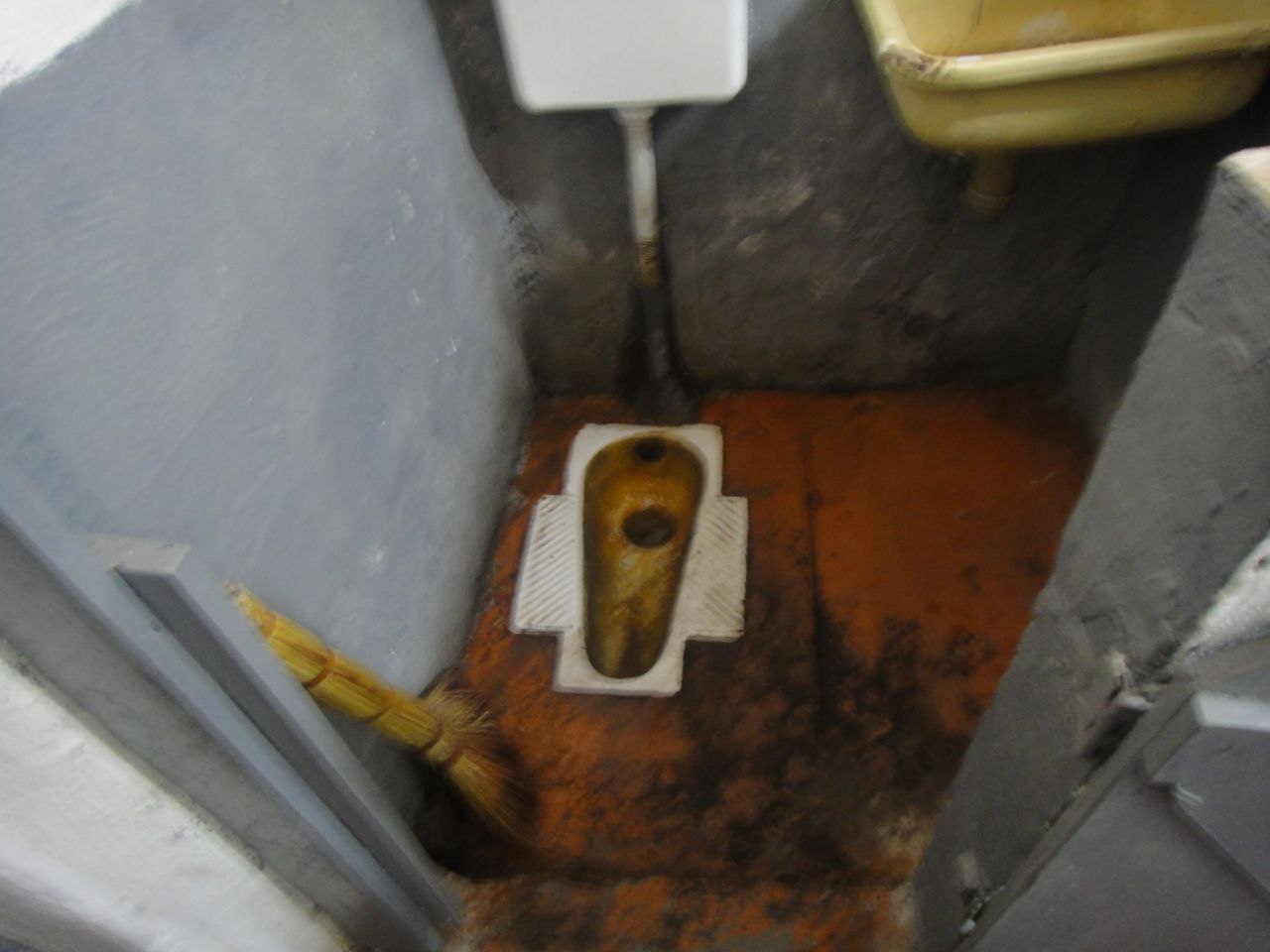 [Житомирська виправна колонія (№4)]