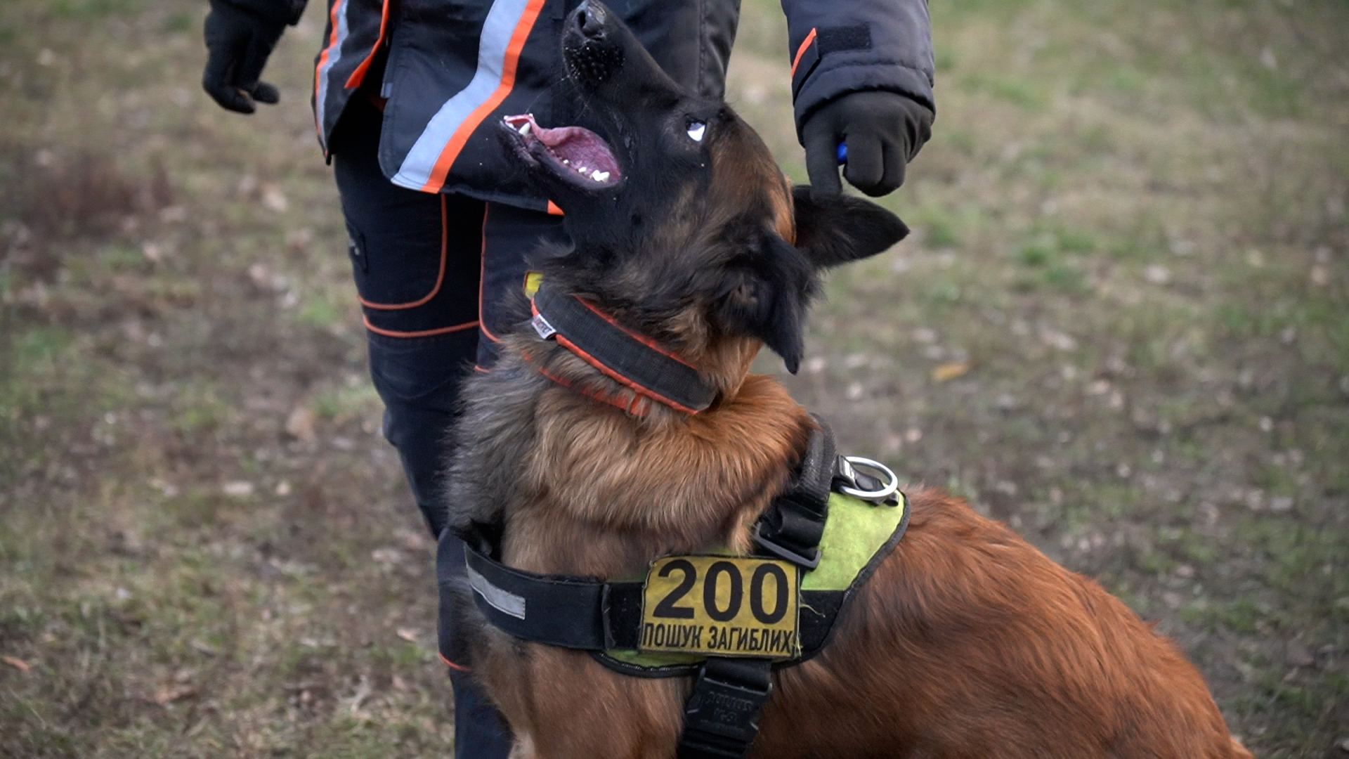Фото з персонального архіву Лариси Борисенко