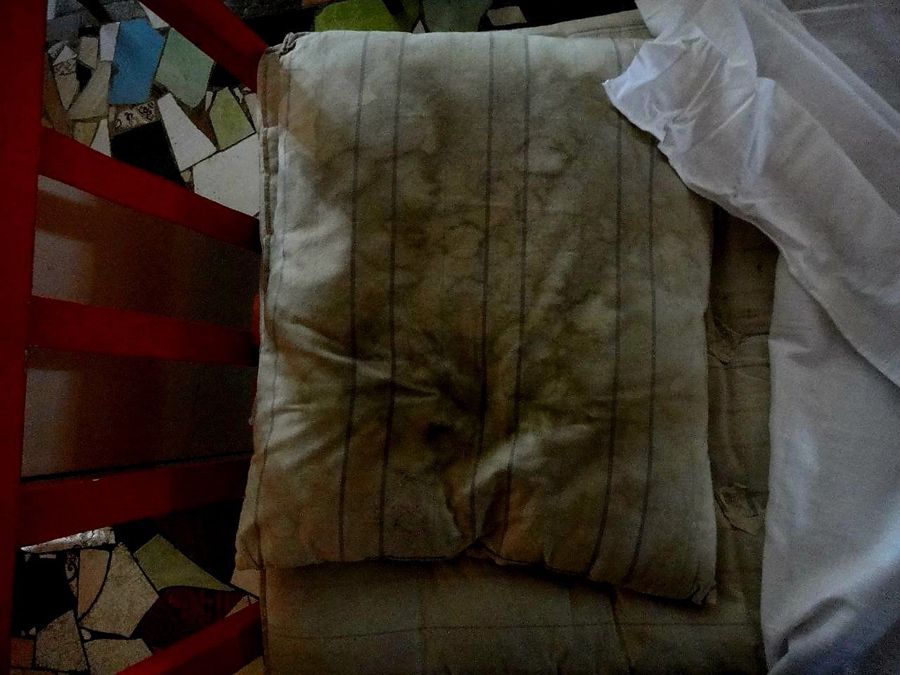 [Криворізька виправна колонія (№80)]