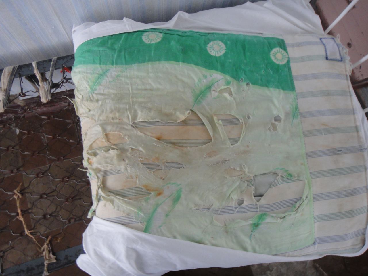 [Кам’янська виправна колонія (№34)]