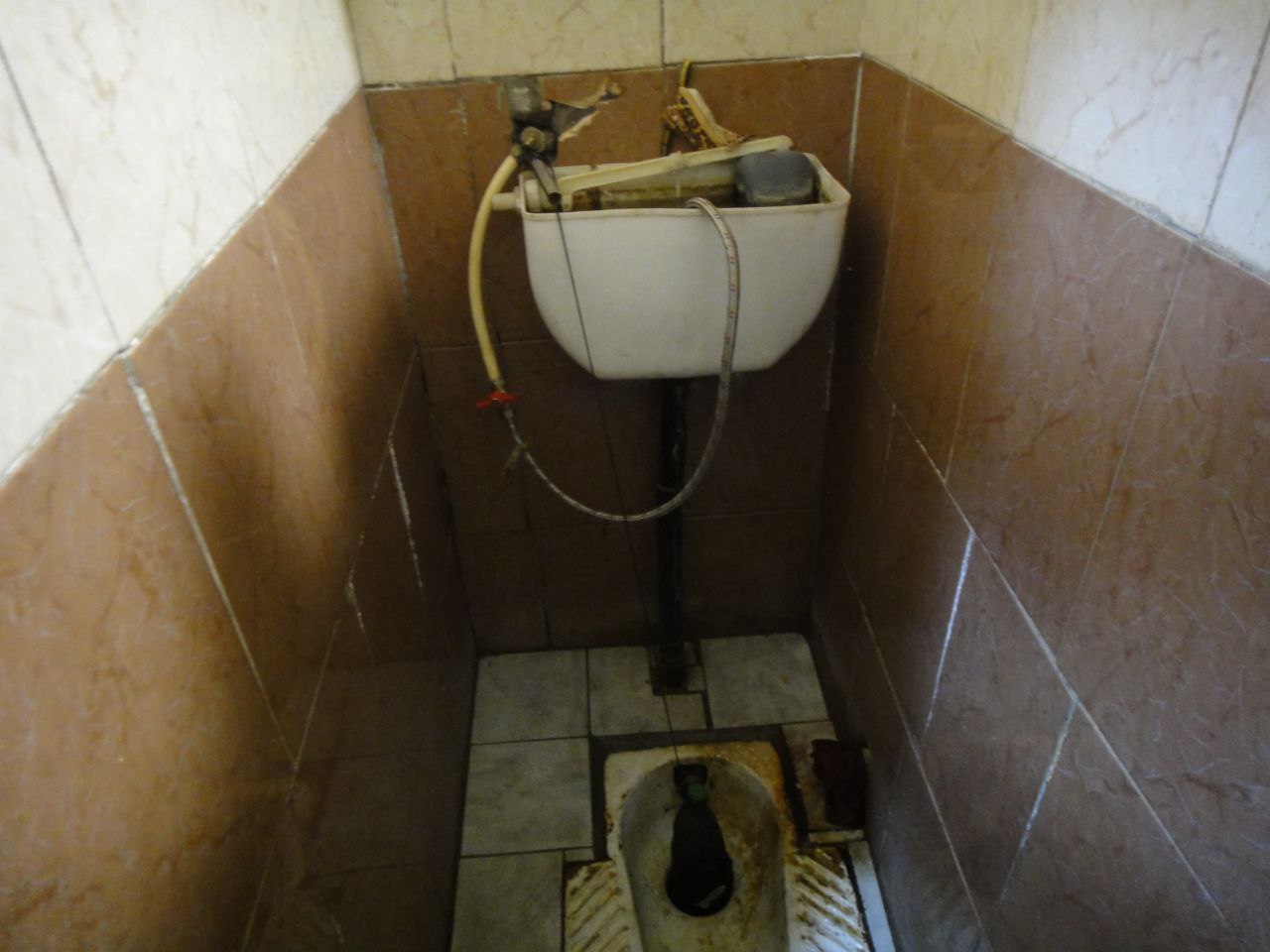 [Солонянська виправна колонія (№21)]