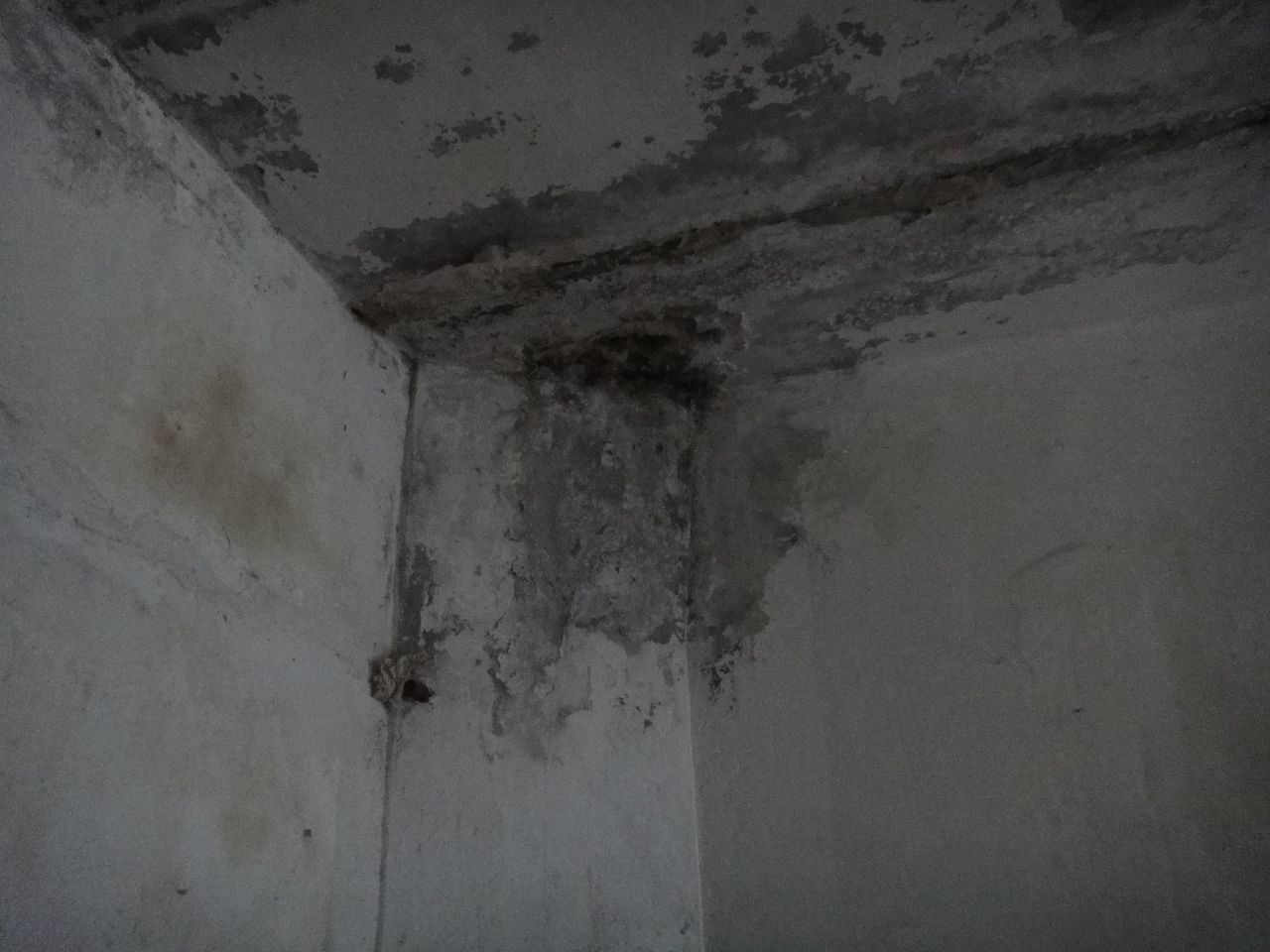 [Солонянська виправна колонія (№21)]