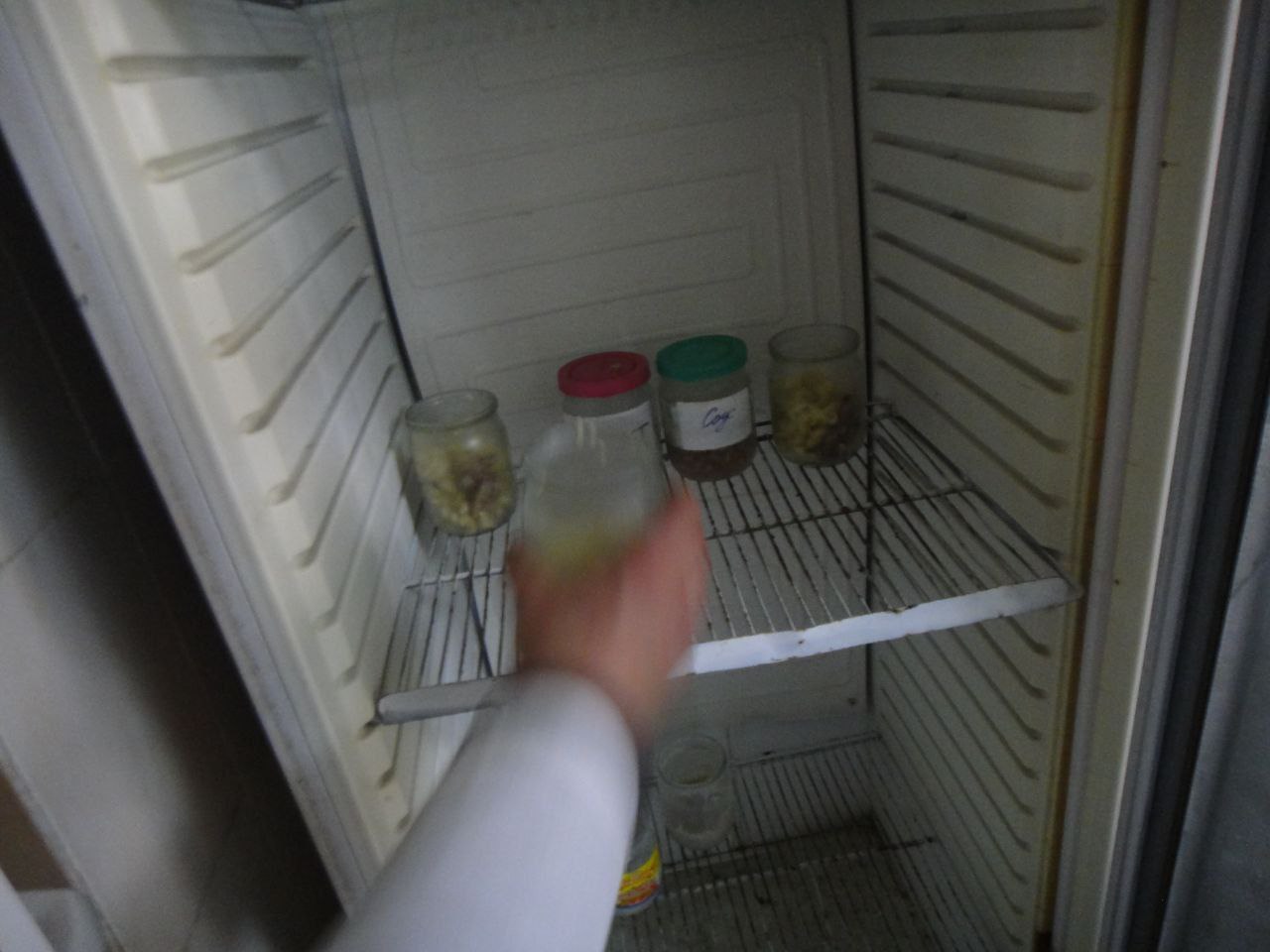 [“Дніпровська виправна колонія (№89)”]