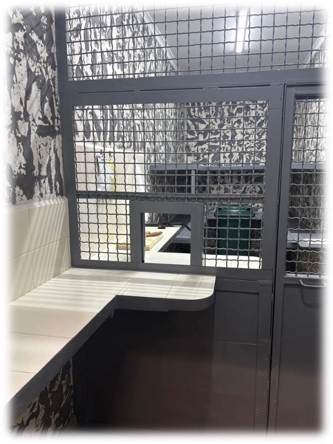 [“Дніпровська установа виконання покарань № 4”]