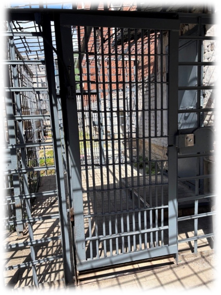 [“Дніпровська установа виконання покарань № 4”]