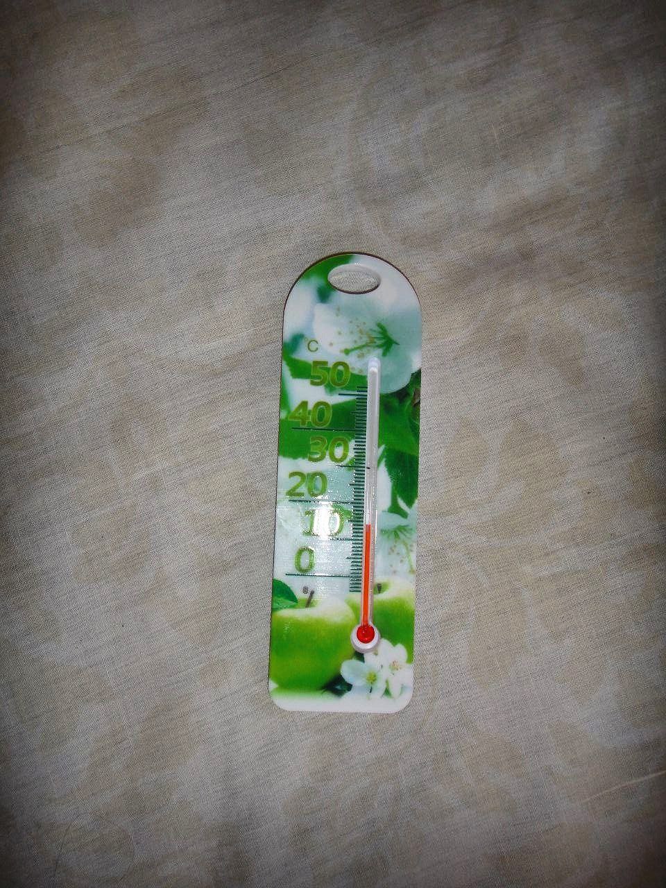 [ДУ “Качанівська виправна колонія (№54)”]