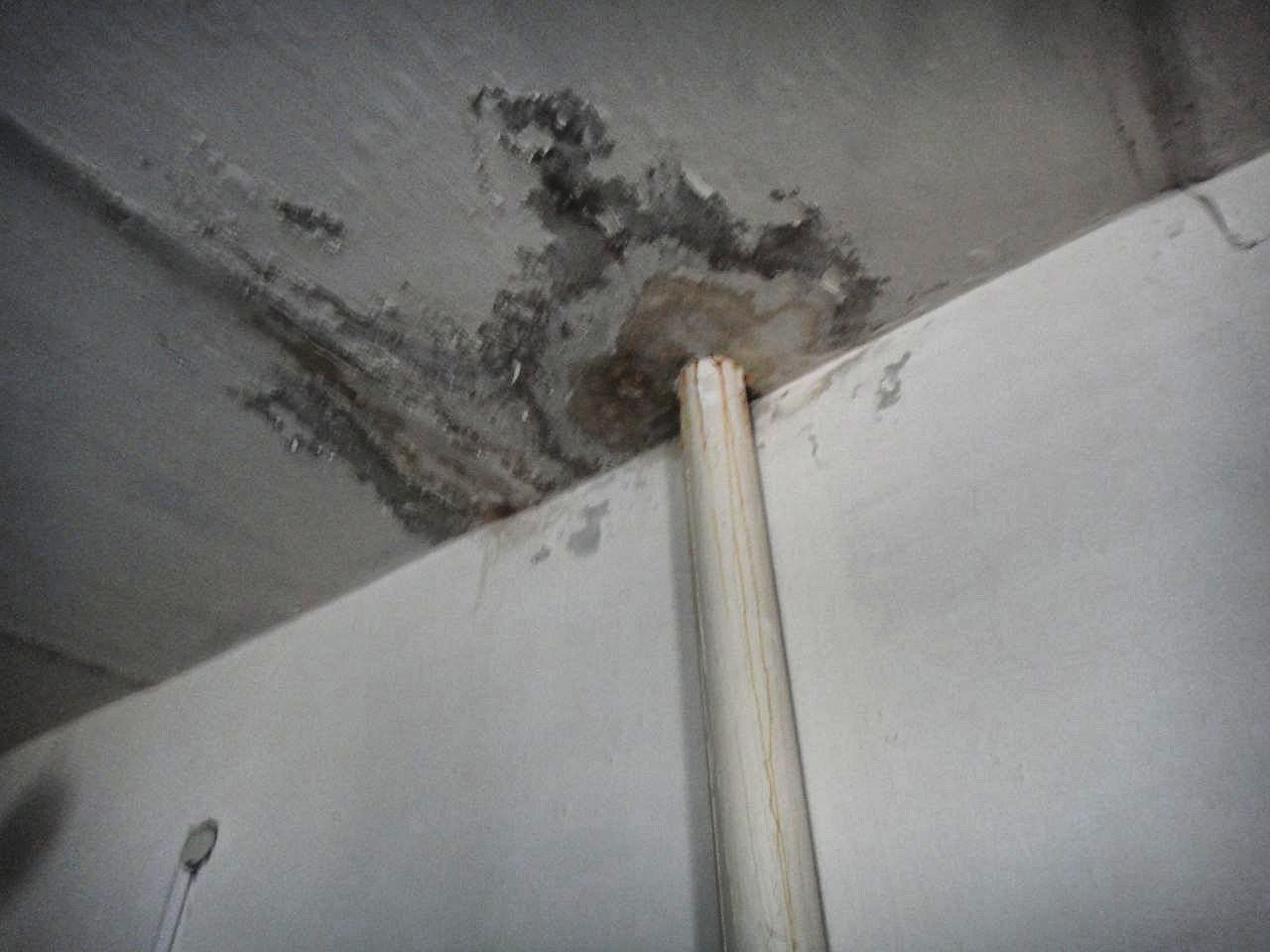 [ДУ “Качанівська виправна колонія (№54)”]