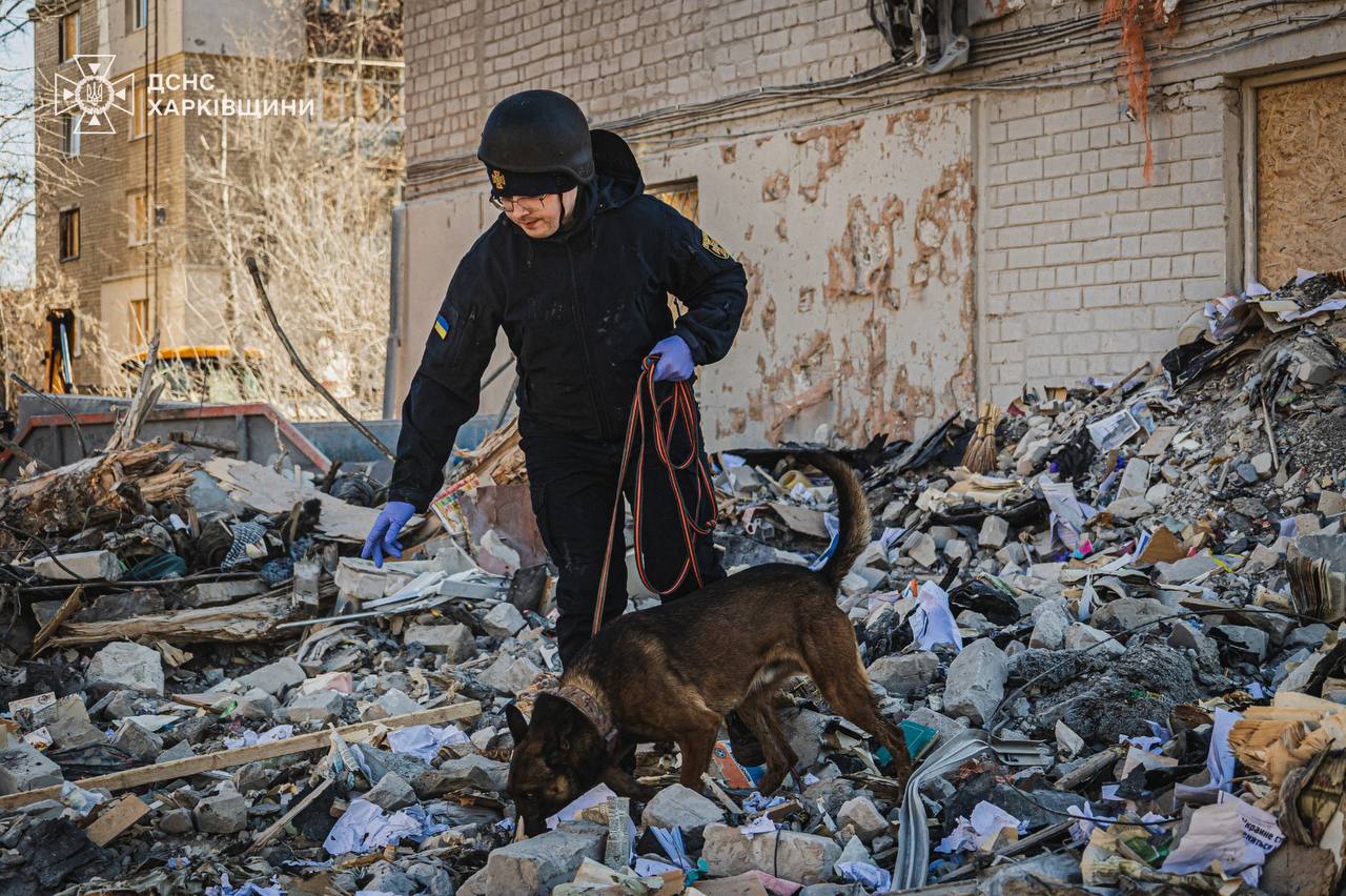 Фото: ДСНС України