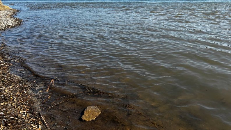Дністер поблизу Ямполя на Вінниччині. Фото: Світлана Наконечна / “Суспільне Вінниця”.