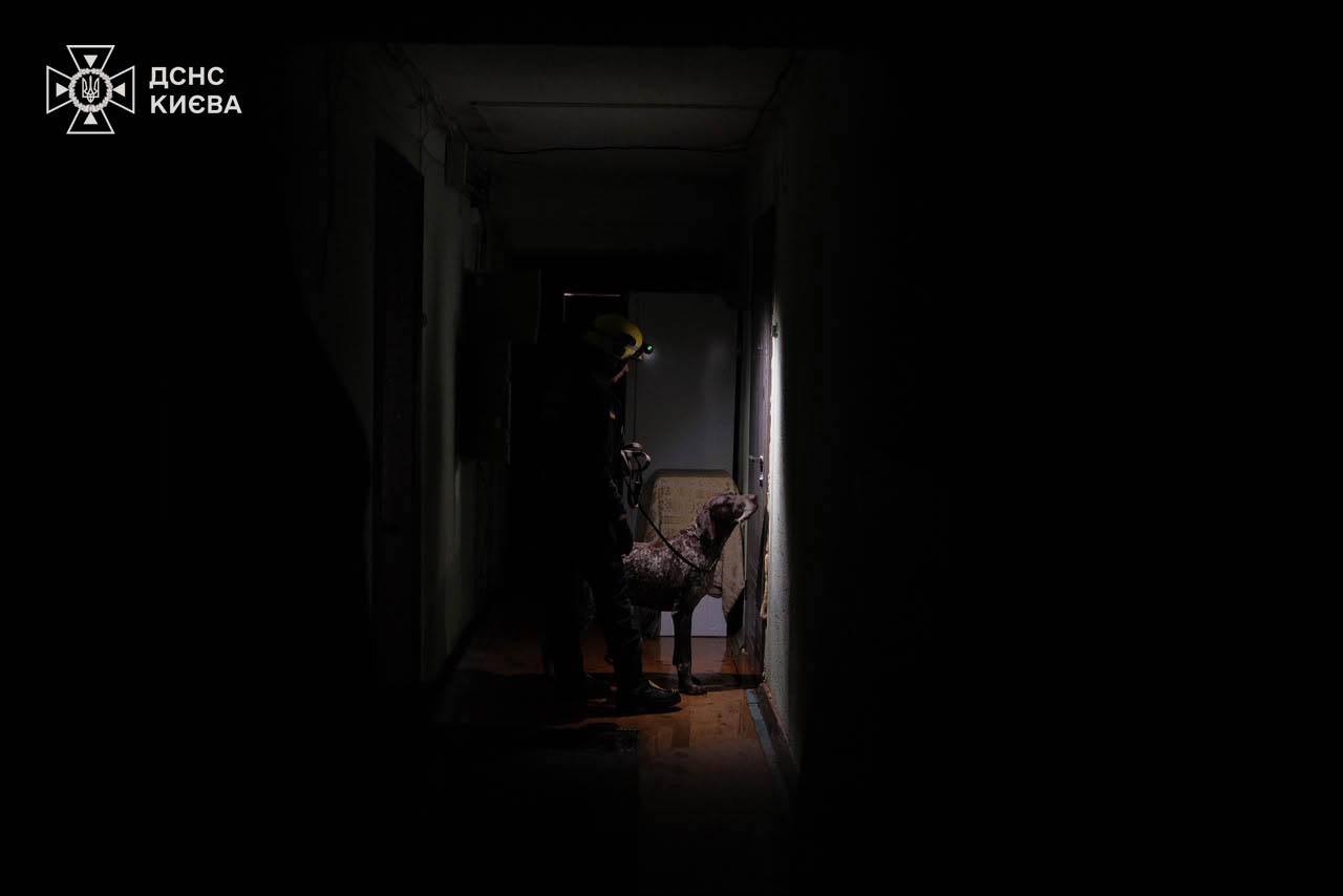Фото: ДСНС Києва